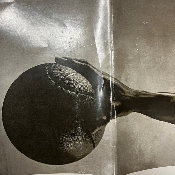 original jordan wings poster