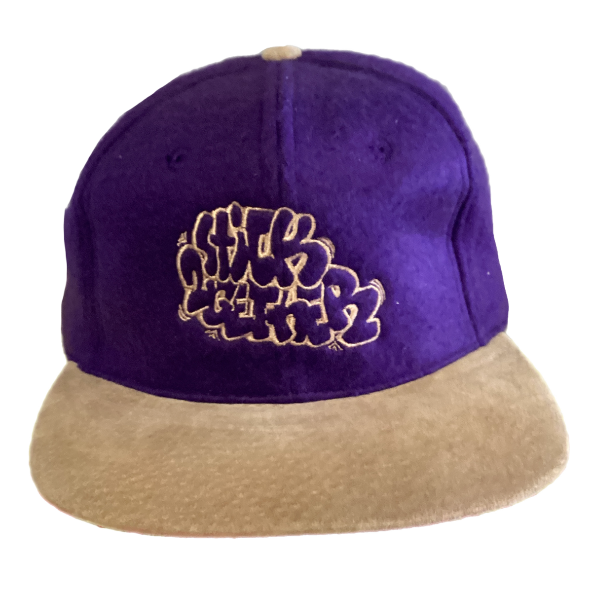 Stick Together Purple Wool/Suede Strapback Hat - jointcustodydc