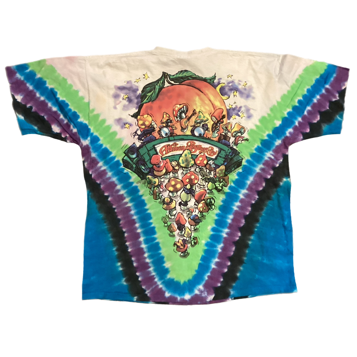 Vintage The Allman Brothers Band "Mushroom Express" Tie Dye T-Shirt - jointcustodydc