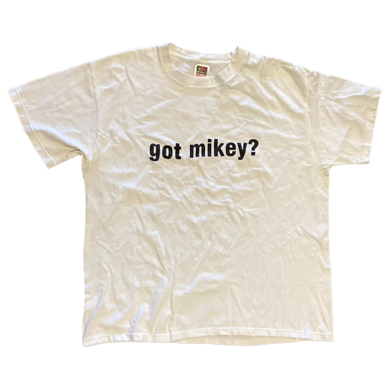 Vintage Widespread Panic "Got Mikey?" Oak Mountain, AL '00 T-Shirt - jointcustodydc