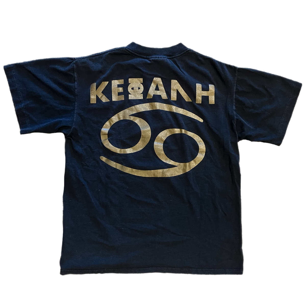 Vintage Ministry "PSALM 69" T-Shirt