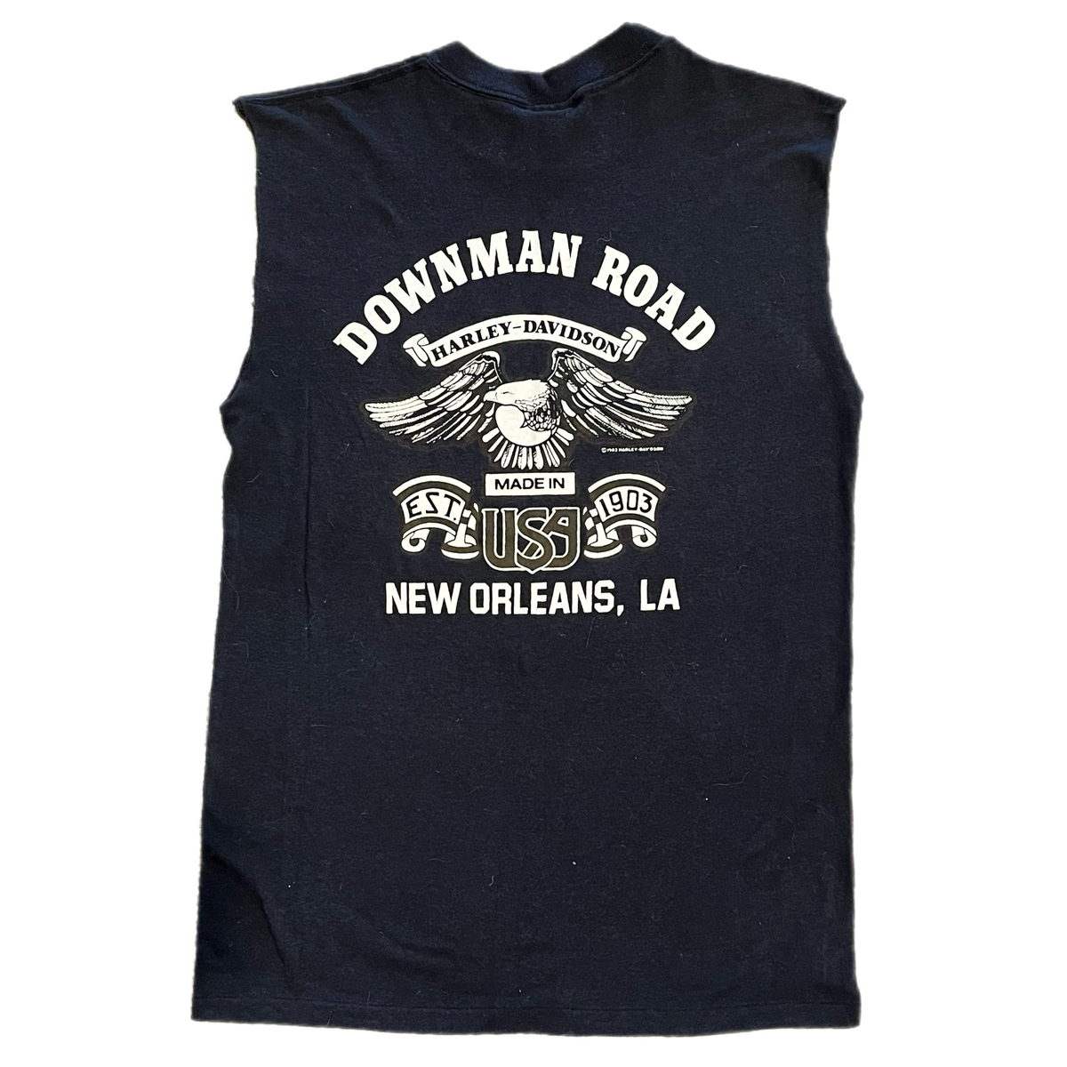 Vintage Harley-Davidson "Wild & Free" Downman Road New Orleans, LA Cut Shirt