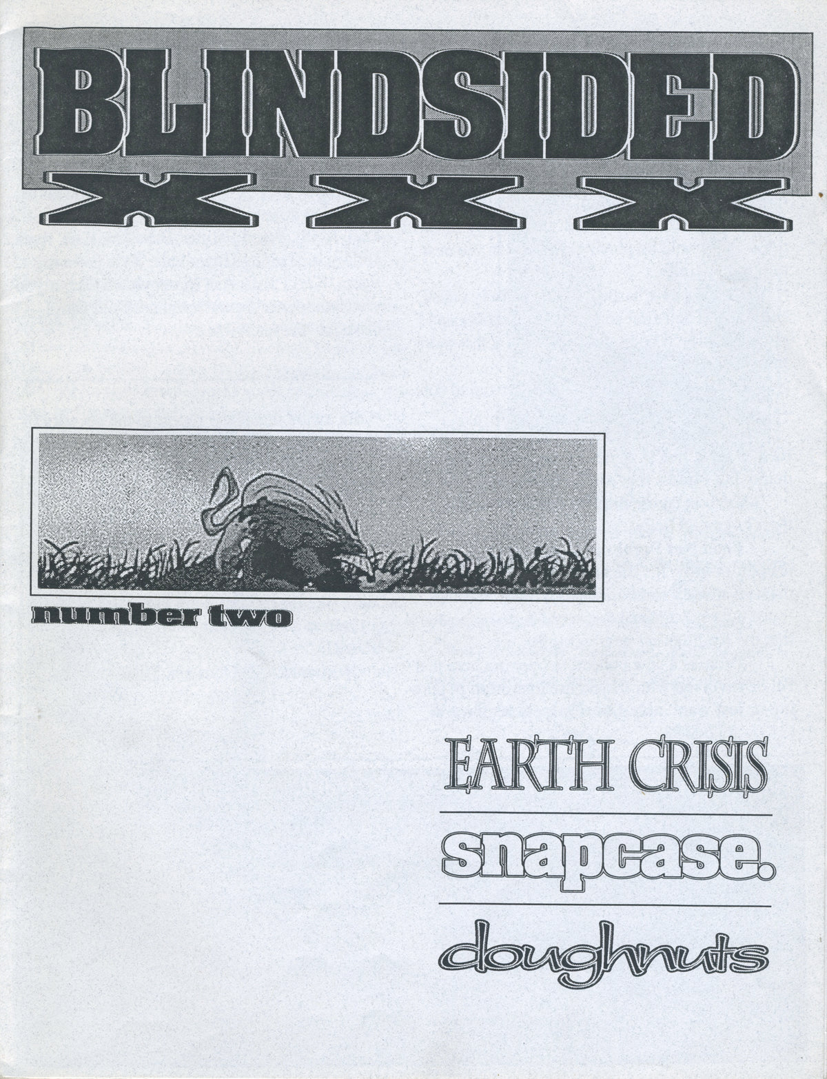 Vintage Blindsided Fanzine Issue #2