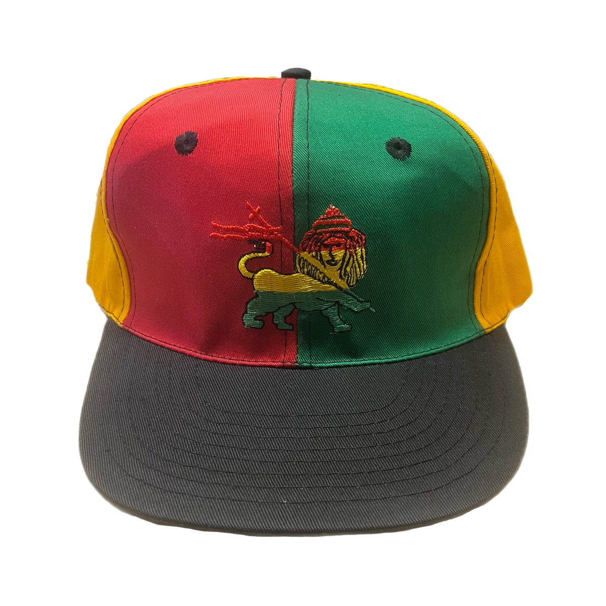Vintage Lion Of Judah &quot;Colorblock&quot; &#39;90s Snapback Hat