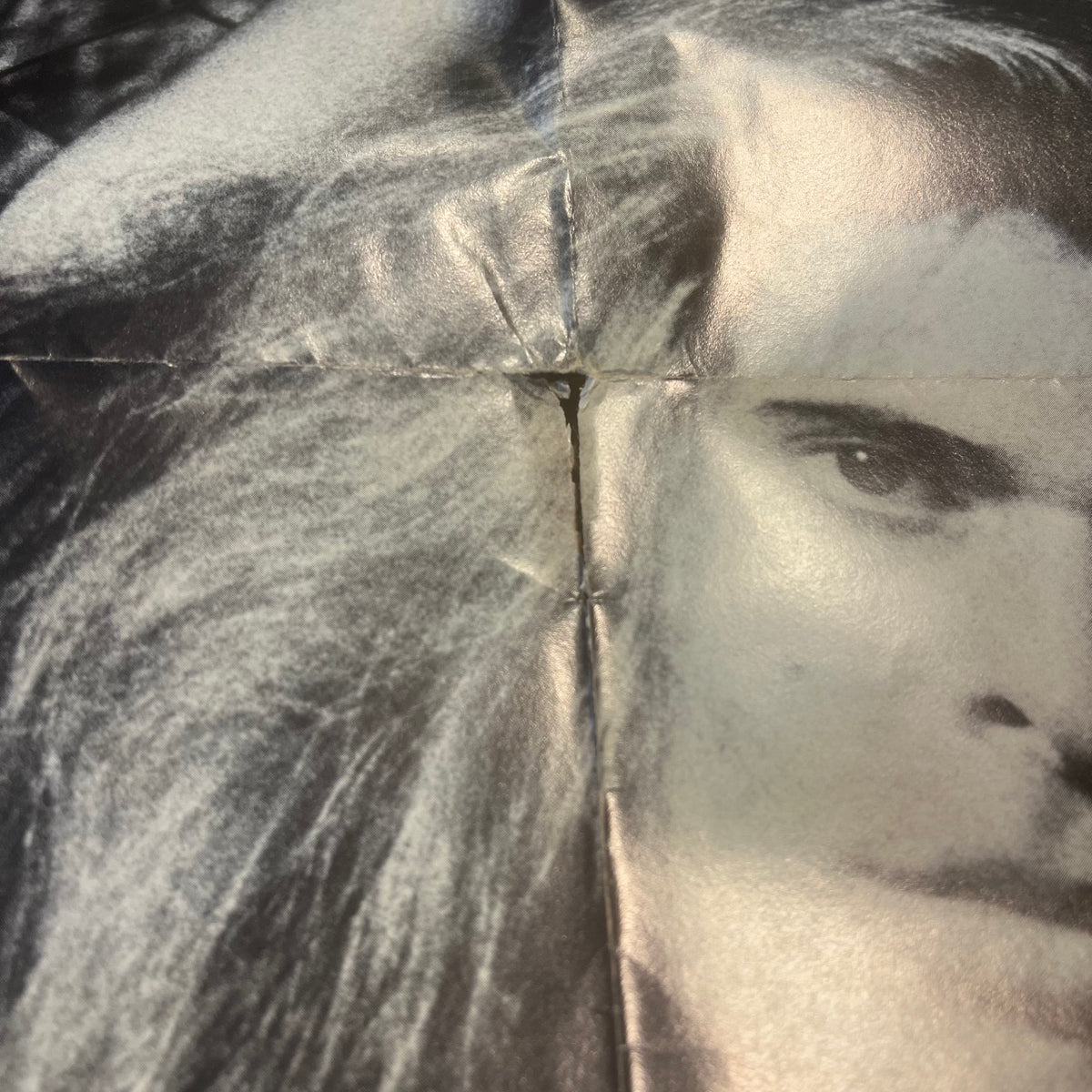 Vintage Van Halen David Lee Roth "Helmut Newton" Chained Promotional Poster