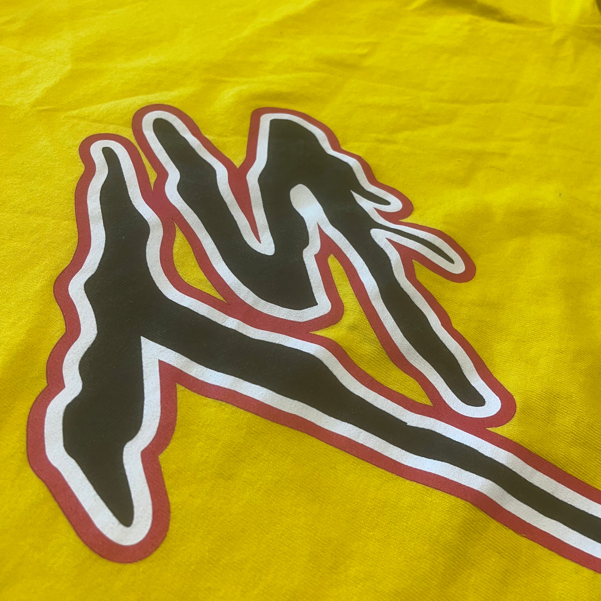 Vintage Terror Squad "Ecko Unltd" True Story Lean Back Promotional T-Shirt - jointcustodydc