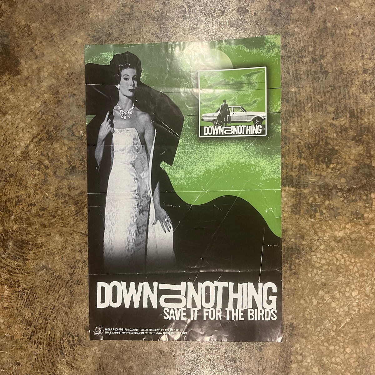 Down To Nothing "Save It For The Birds" Thorp Record Poster