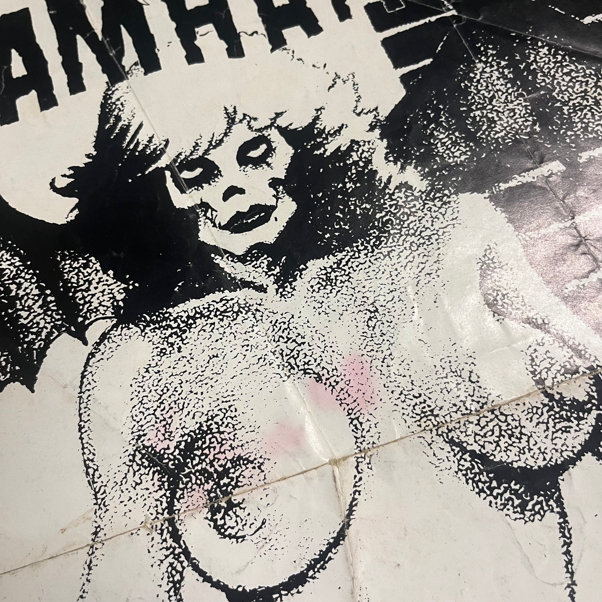 Vintage Samhain “Unholy Passion” Plan 9 Promotional Poster Vintage Samhain “Unholy Passion” Plan 9 Promotional Poster
