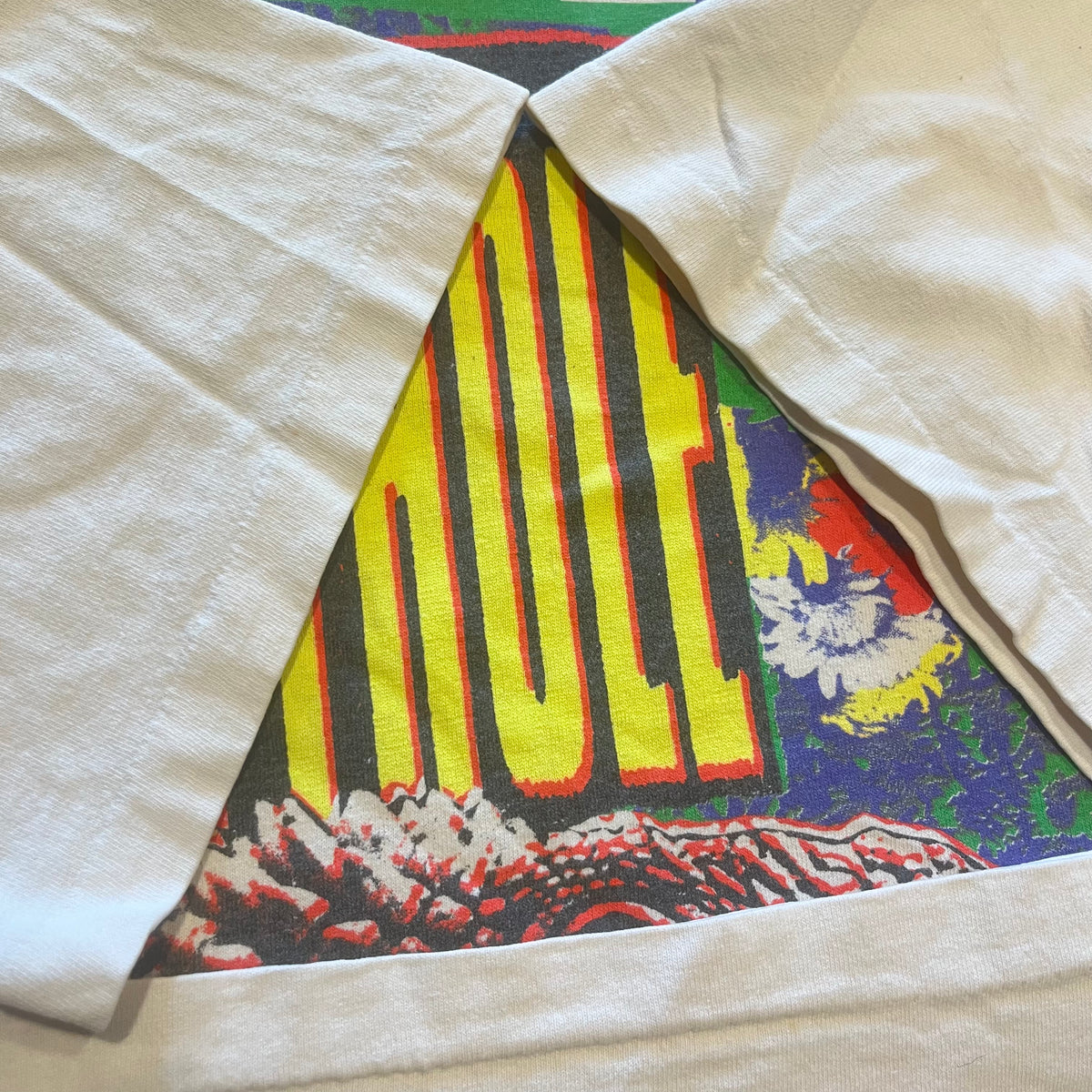 Vintage Butthole Surfers &quot;NA Tour&quot; &#39;91 T-Shirt