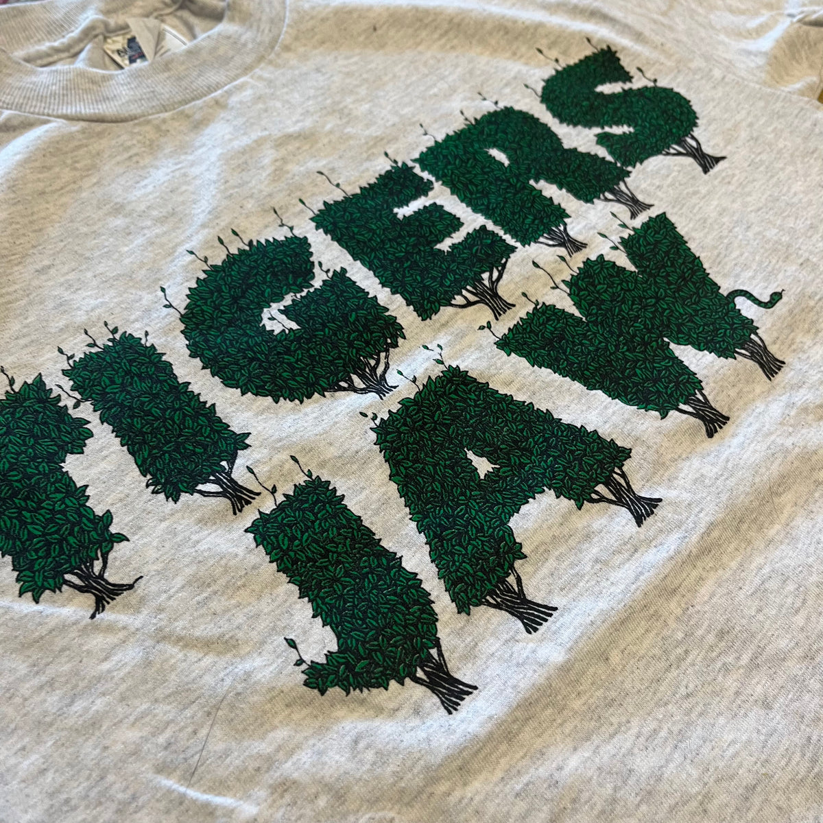 Tigers Jaw "Tree" T-Shirt