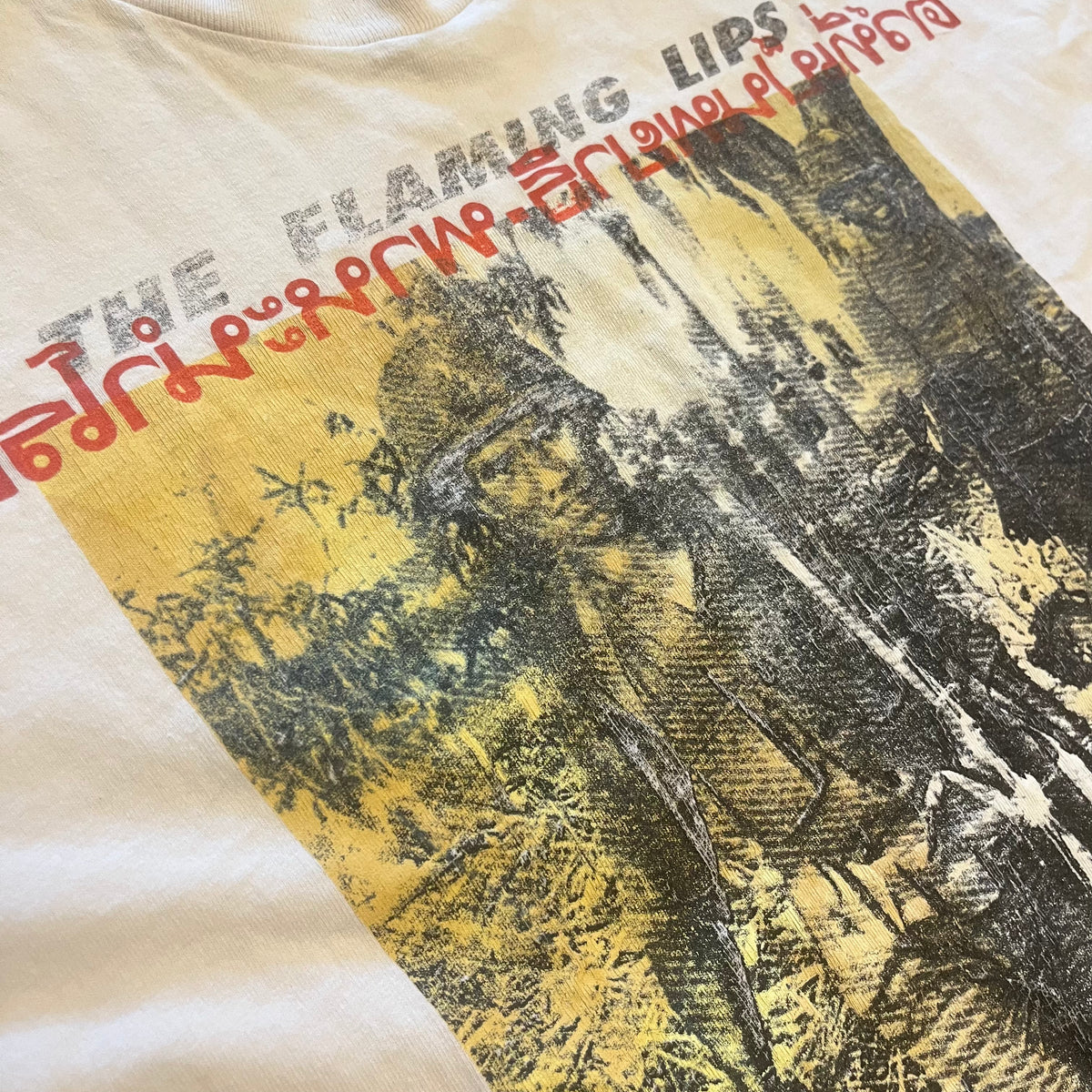 Vintage The Flaming Lips &quot;Parasite&quot; T-Shirt