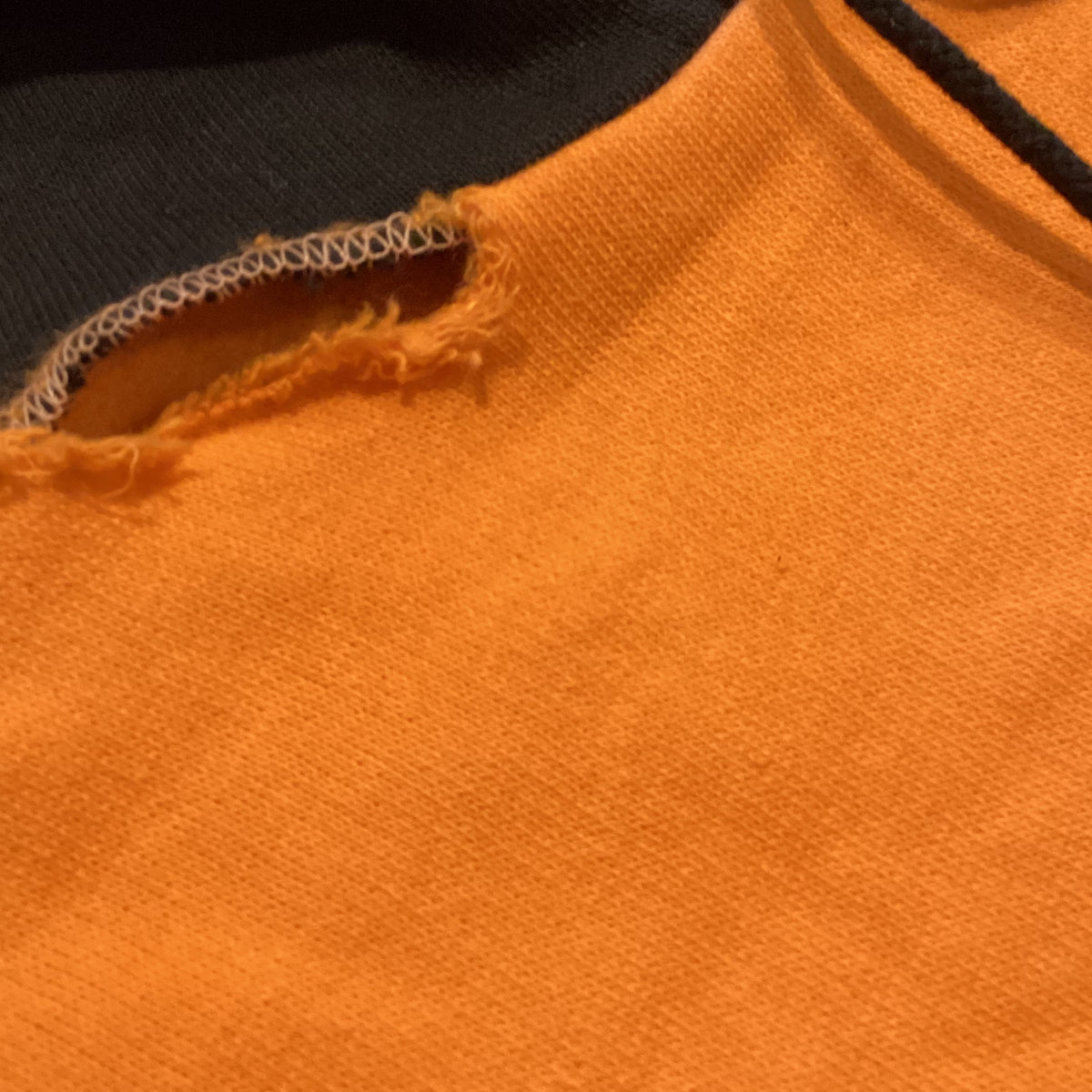 Vintage Biohazard "Mata Leao" Sweatshirt