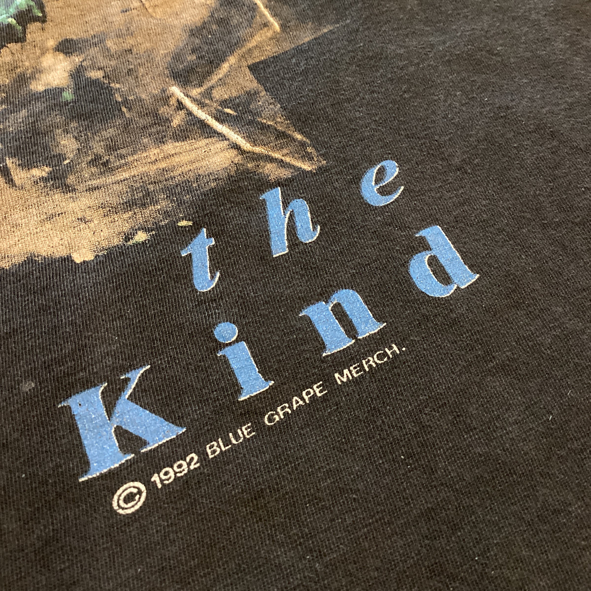 Vintage Disincarnate "Dreams Of The Carrion Kind" Roadrunner Records Promotional T-Shirt - jointcustodydc