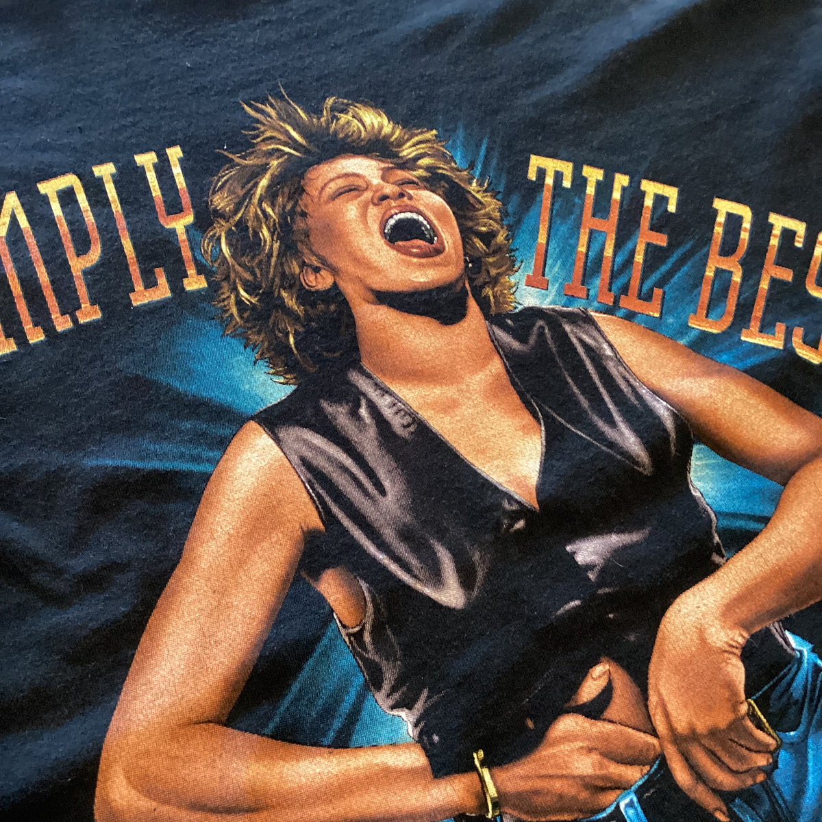 Vintage Tina Turner &quot;Simply The Best&quot; What&#39;s Love Tour &#39;93 T-Shirt