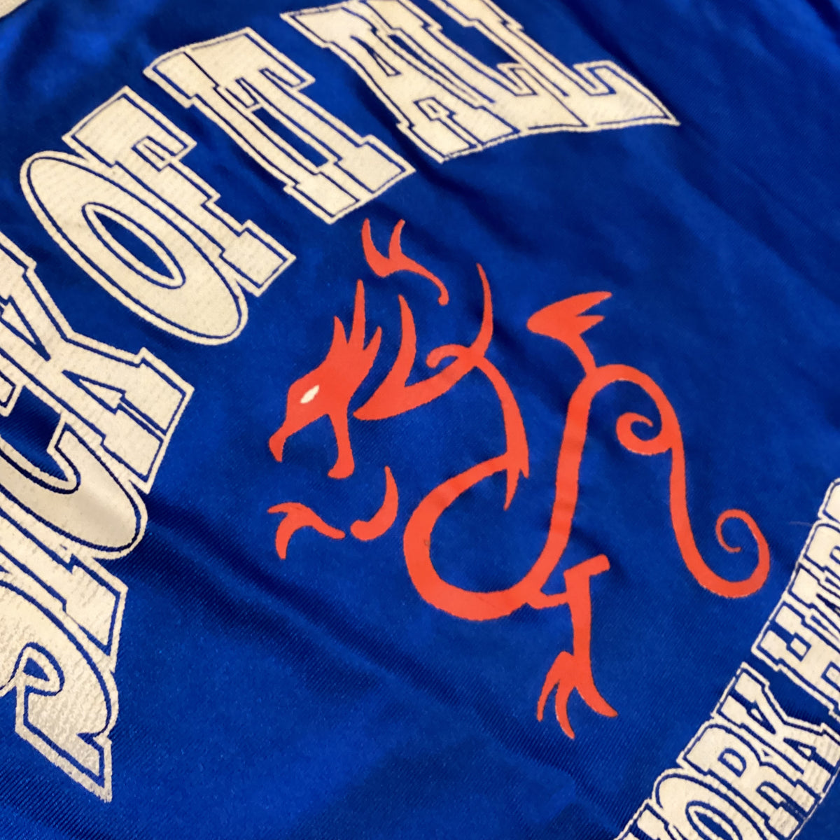 Vintage Sick Of It All "Champion" Basketball Jersey