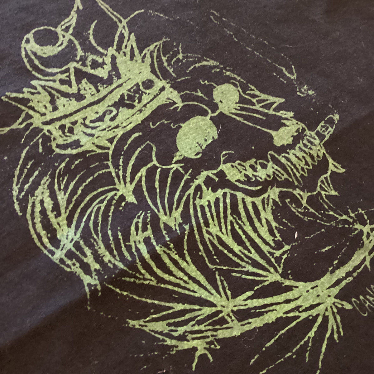 Vintage Lion Of Judah "Canadian Vacation" '05 T-Shirt