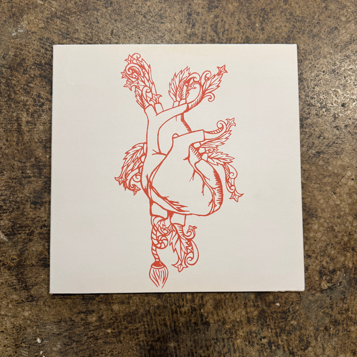 Vintage Tigers Jaw "Tigers Jaw" 10 Year Anniversary Reissue With Zine And Flexi Run For Cover