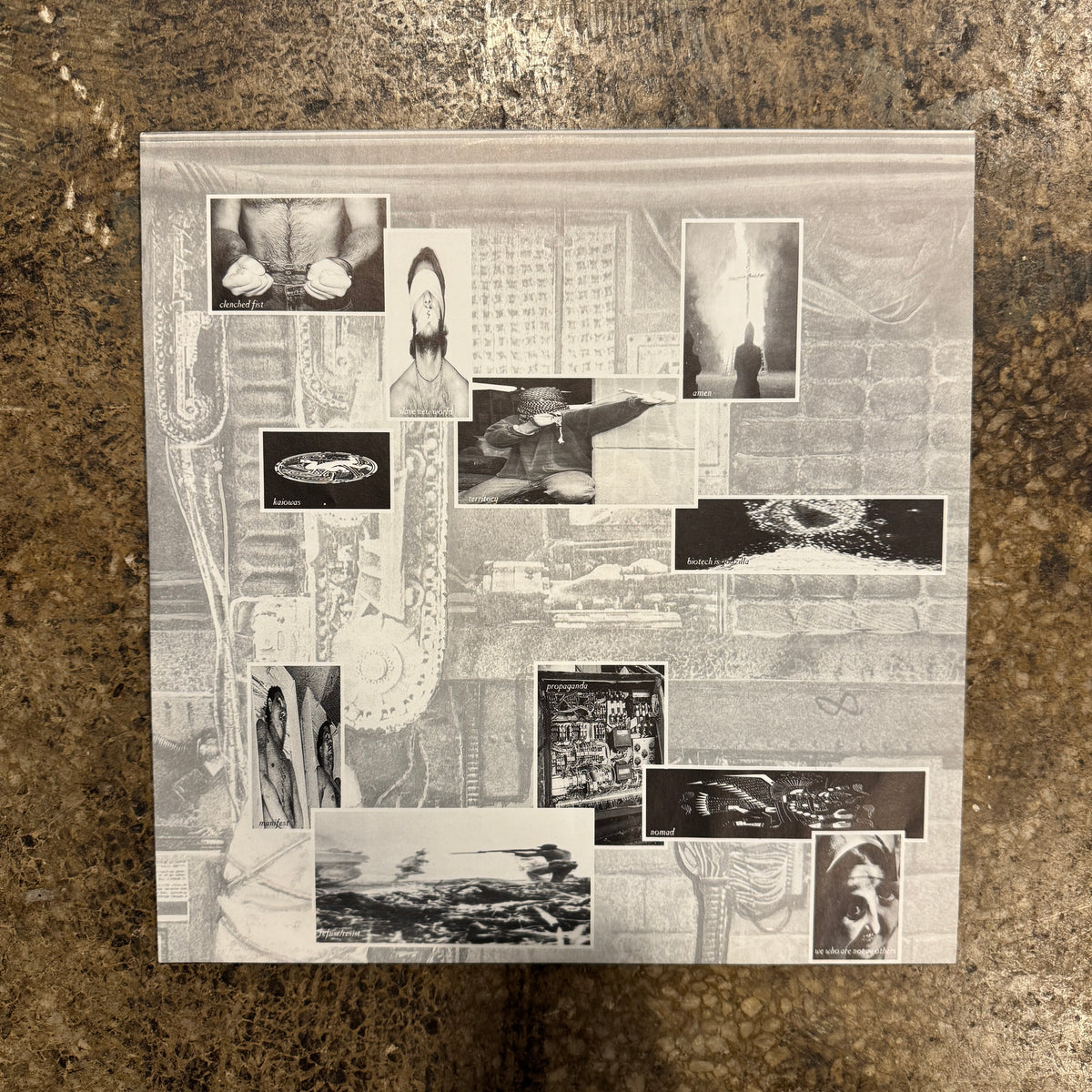 Vintage Sepultura "Chaos A.D." Roadrunner European LP