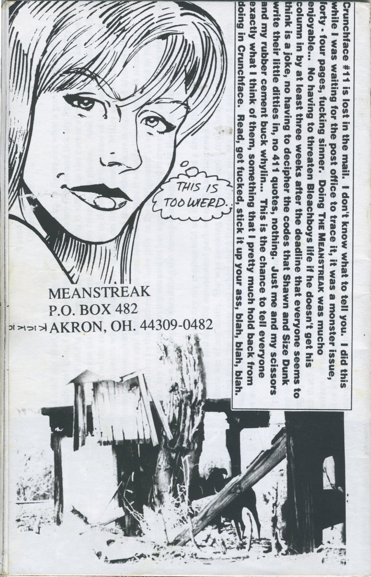 Vintage Meanstreak &quot;Akron, Ohio&quot; Hardcore Schizo Weirdo Fanzine Issue #1