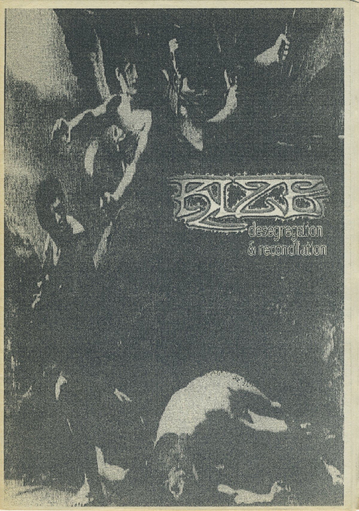 Vintage RIZE &quot;Desegration &amp; Reconciliation&quot; Hardline Fanzine