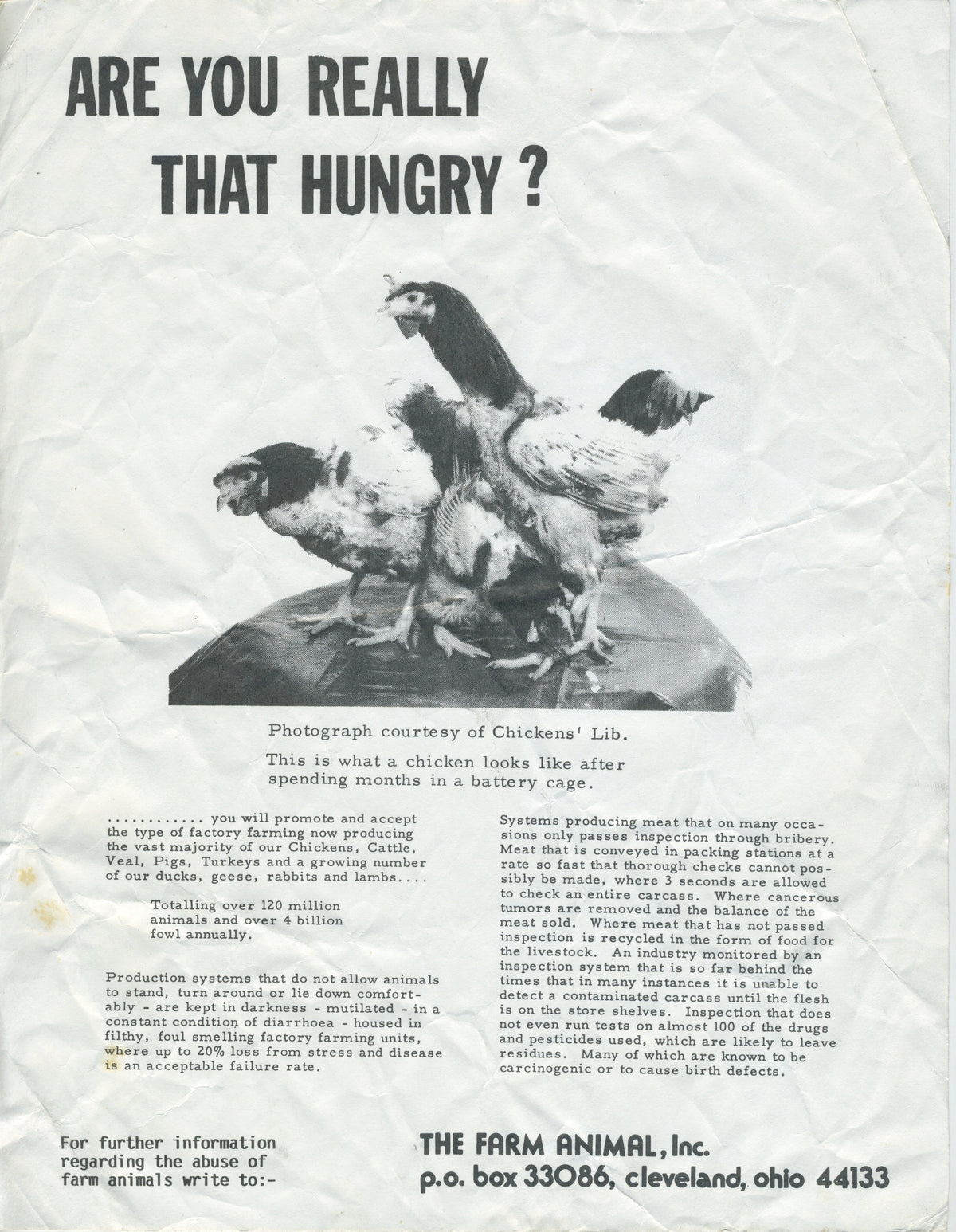 Vintage The Farm Animal &quot;Chicken Liberation&quot; Flyer