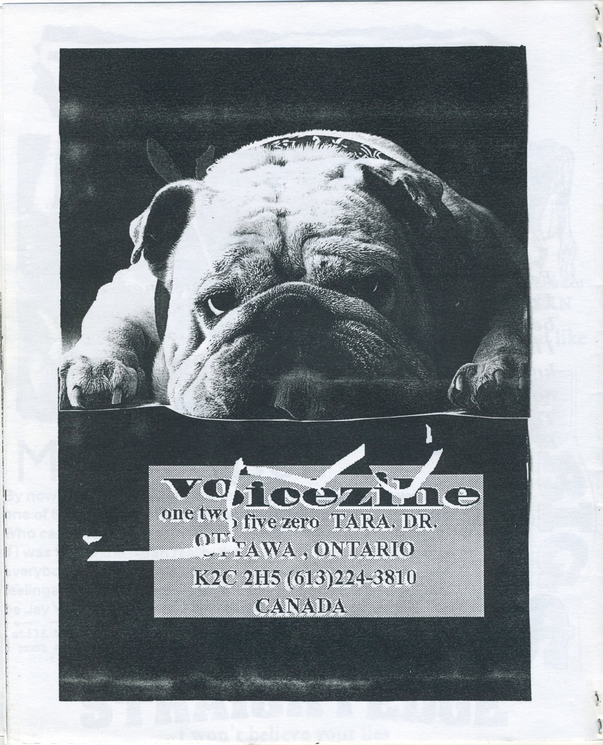 Vintage Voice &quot;Straight Edge&quot; Hardcore Fanzine Issue #3