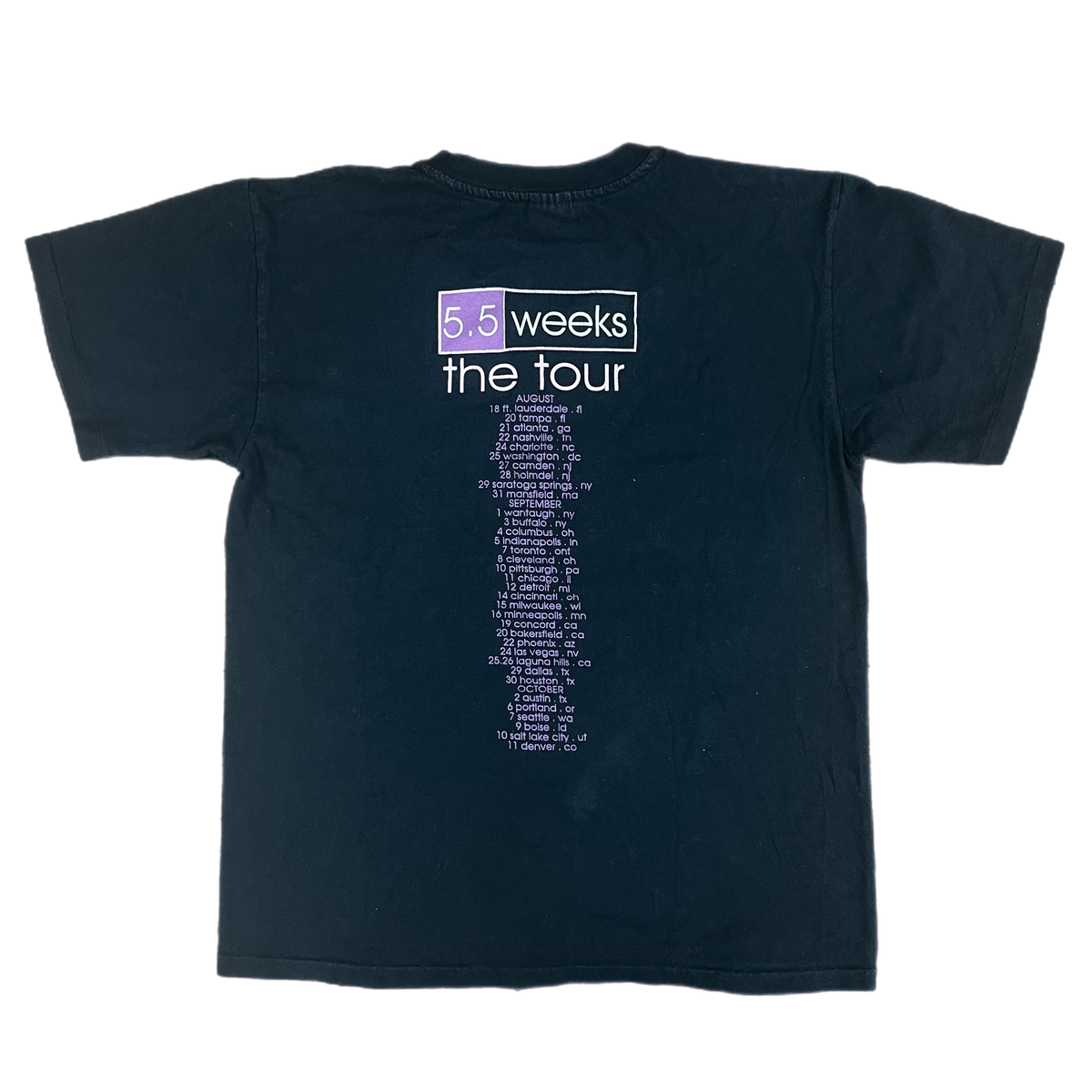 Vintage Tori Amos &quot;5.5 Weeks&quot; Tour T-Shirt