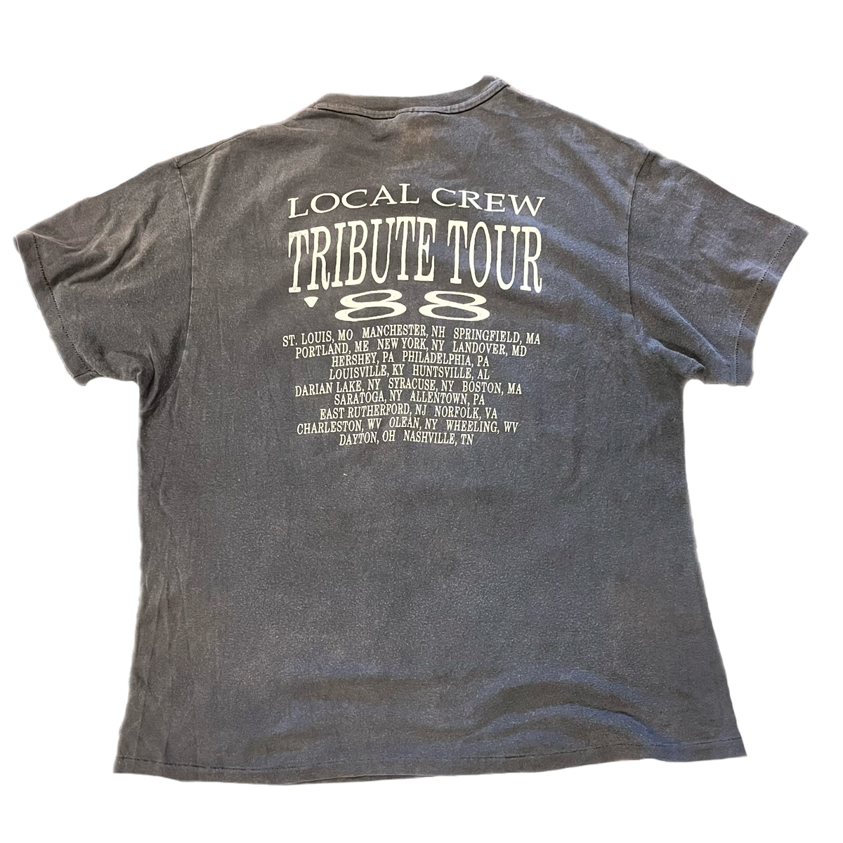 Vintage Lynyrd Skynyrd &quot;10 Years Later...&quot; Local Crew T-Shirt