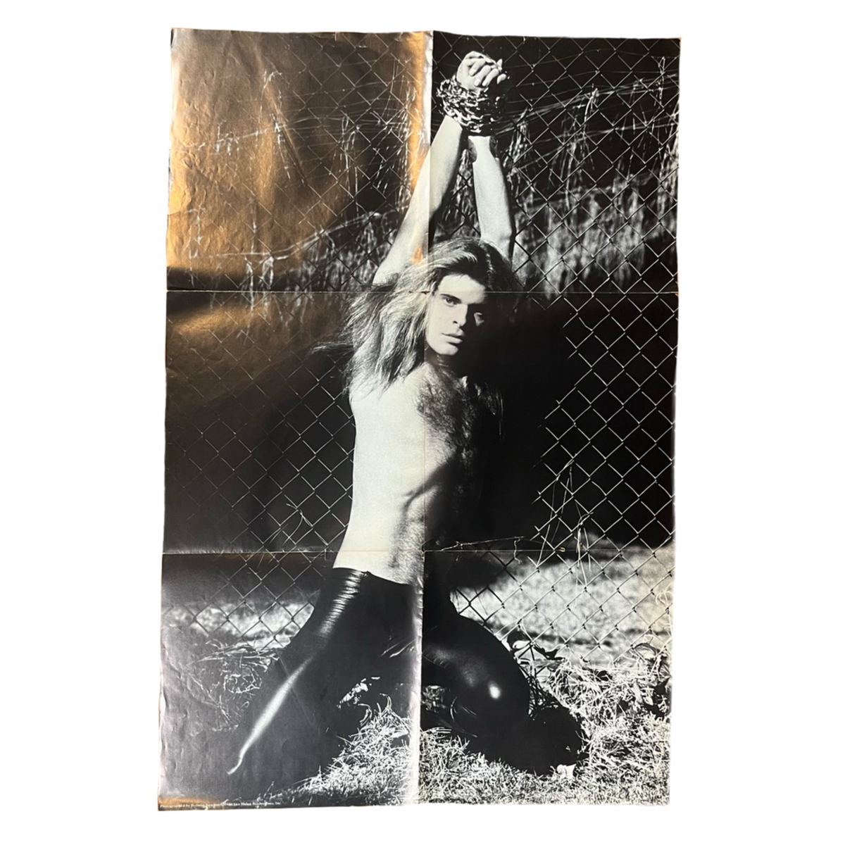 Vintage Van Halen David Lee Roth &quot;Helmut Newton&quot; Chained Promotional Poster