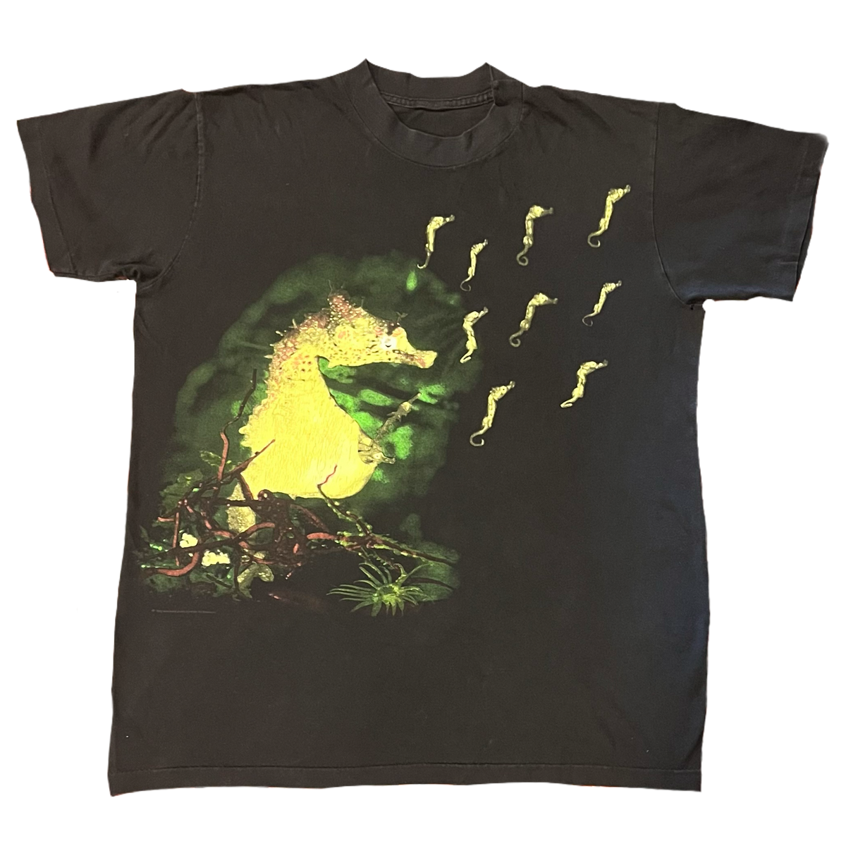 Vintage 1993 Nirvana "Seahorse" Brockum T-Shirt