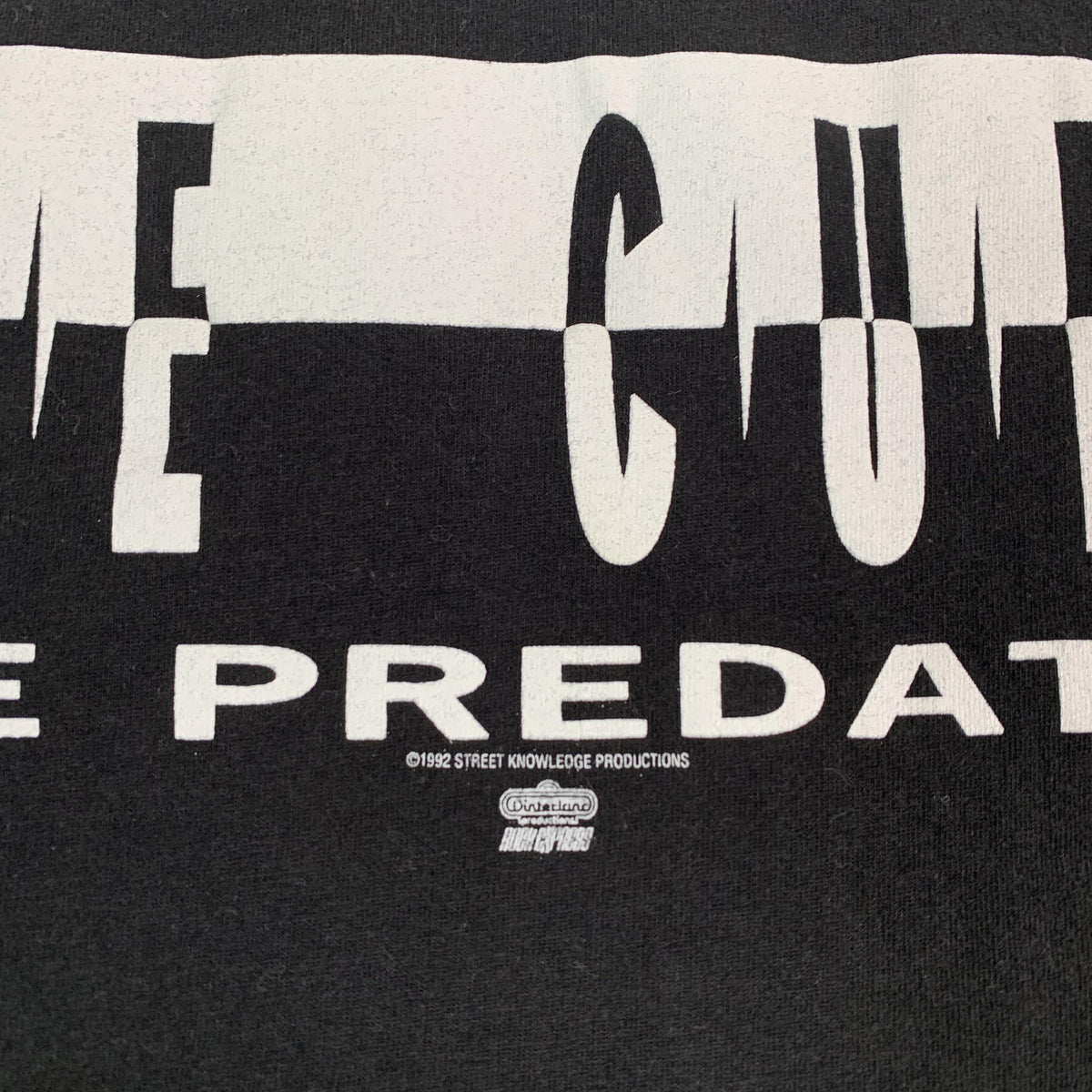 Vintage Ice Cube &quot;The Predator&quot; T-Shirt - jointcustodydc