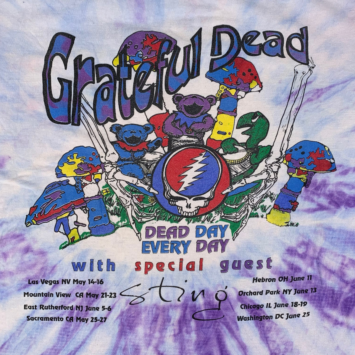 Vintage Grateful Dead &quot;Summer 93&quot; T-Shirt - jointcustodydc