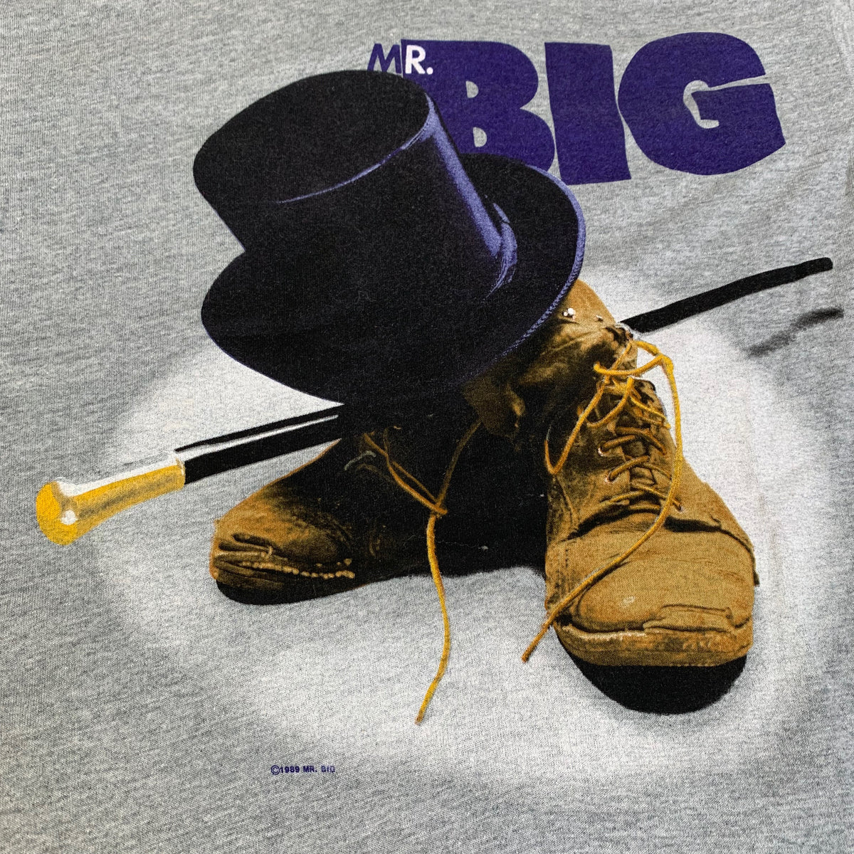 Vintage Mr. Big &quot;The Big Tour&quot; T-Shirt - jointcustodydc