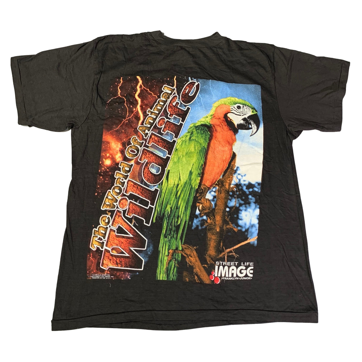 Vintage Wildlife &quot;Parrot&quot; T-Shirt - jointcustodydc