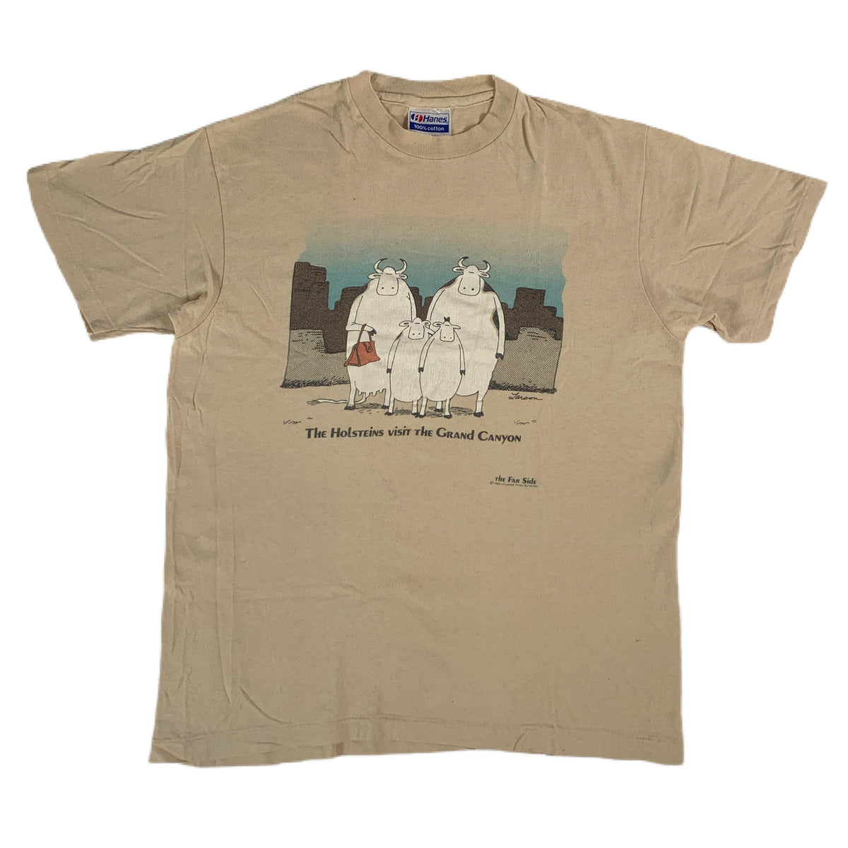 Vintage The Far side &quot;Grand Canyon&quot; T-Shirt - jointcustodydc
