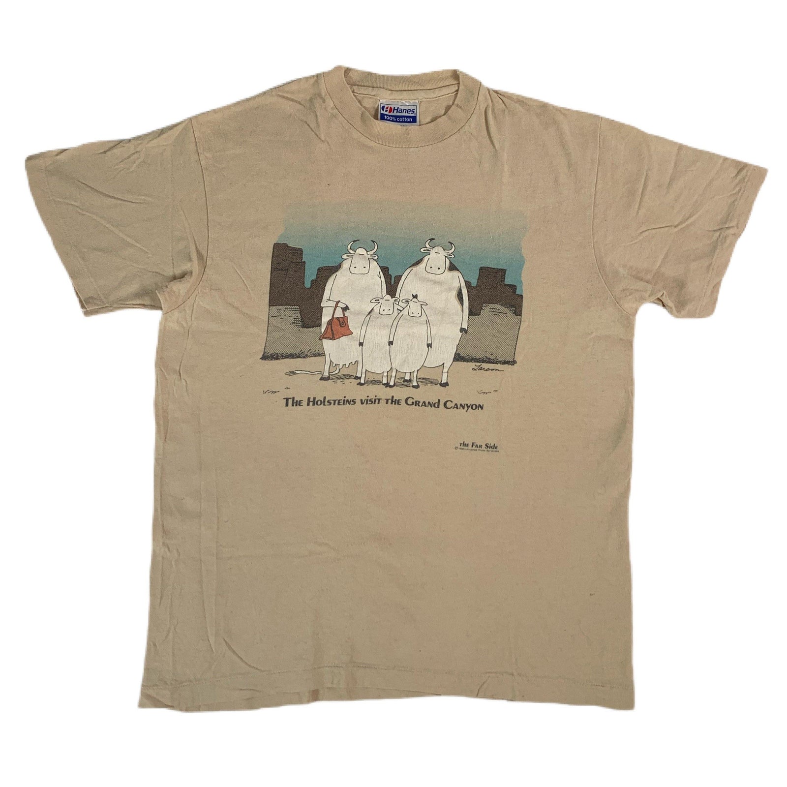 Vintage The Far side "Grand Canyon" T-Shirt - jointcustodydc