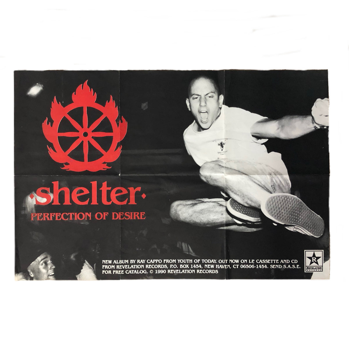 Vintage Revelation Records Shelter &quot;Perfection Of Desire&quot; Promotional Poster