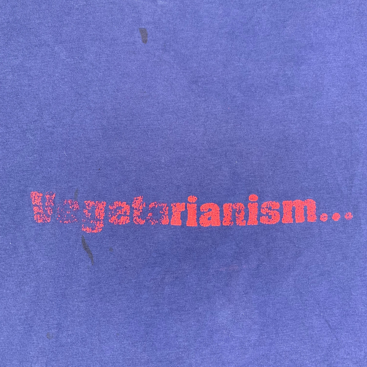 Vintage Smorgasbord Records &quot;Go Vegetarian&quot; T-Shirt - jointcustodydc