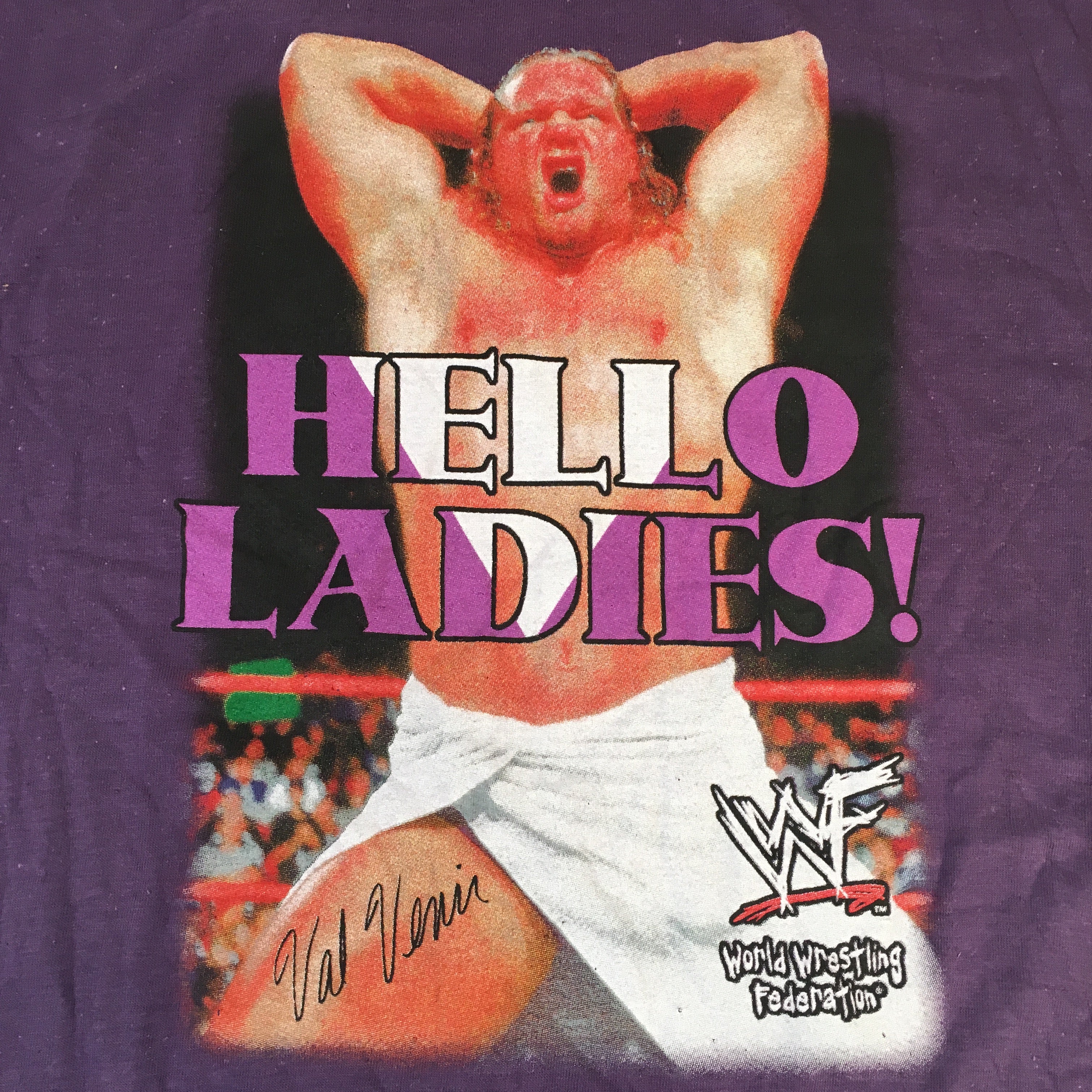 Hello Ladies Racoon Hello Ladies Poster