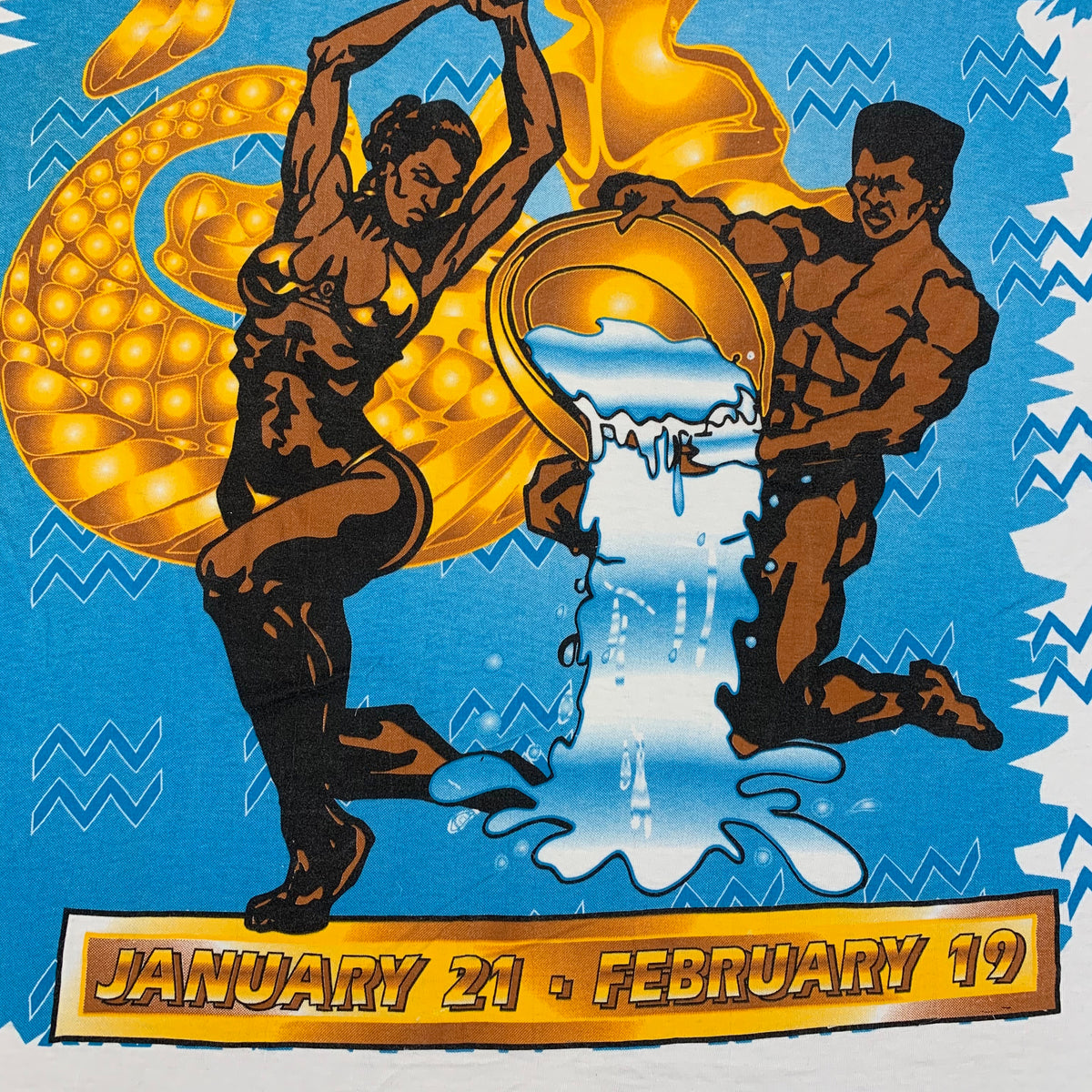 Vintage Aquarius &quot;January 21-February 19&quot; T-Shirt - jointcustodydc