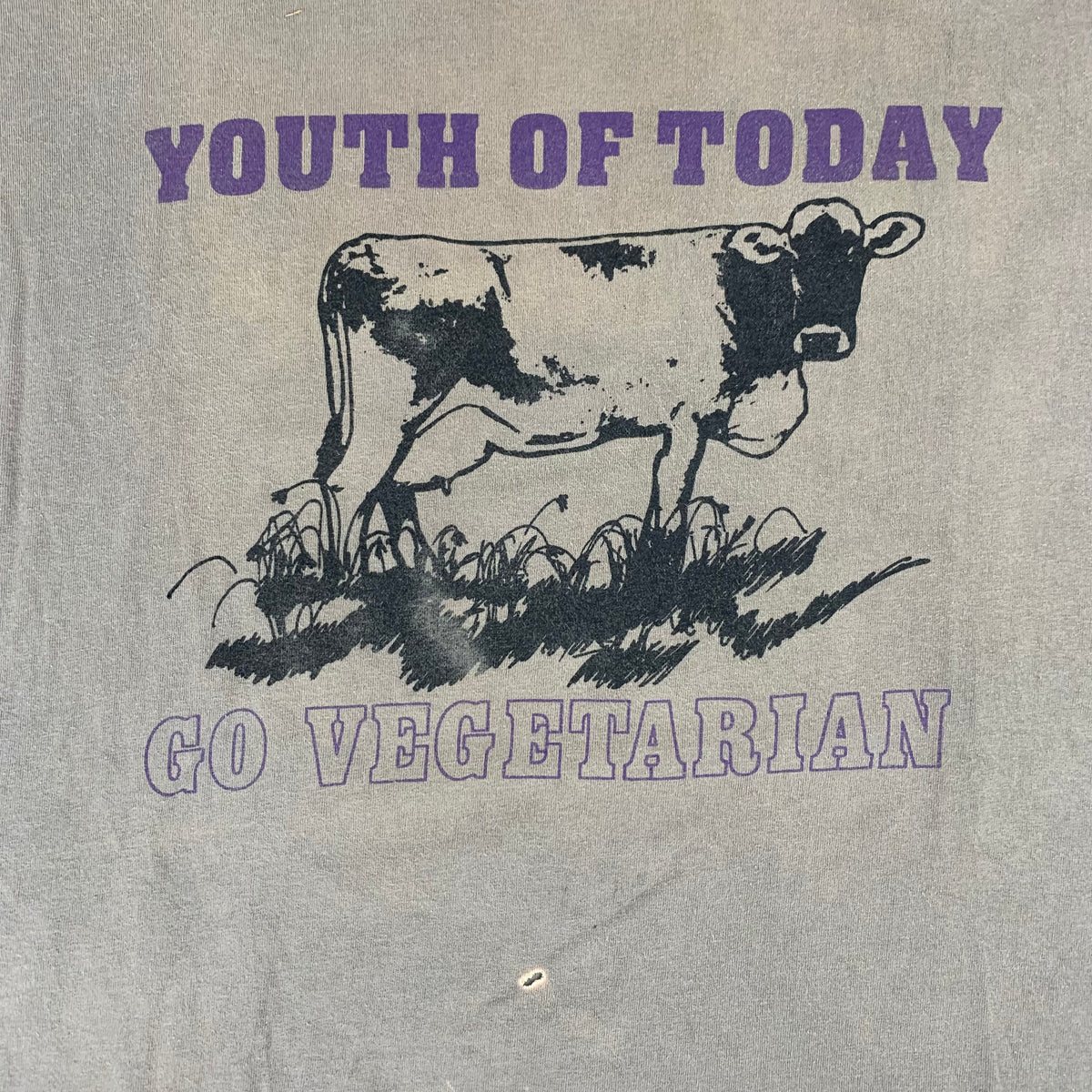 Vintage Youth Of Today &quot;Go Vegetarian&quot; Revelation Records T-Shirt
