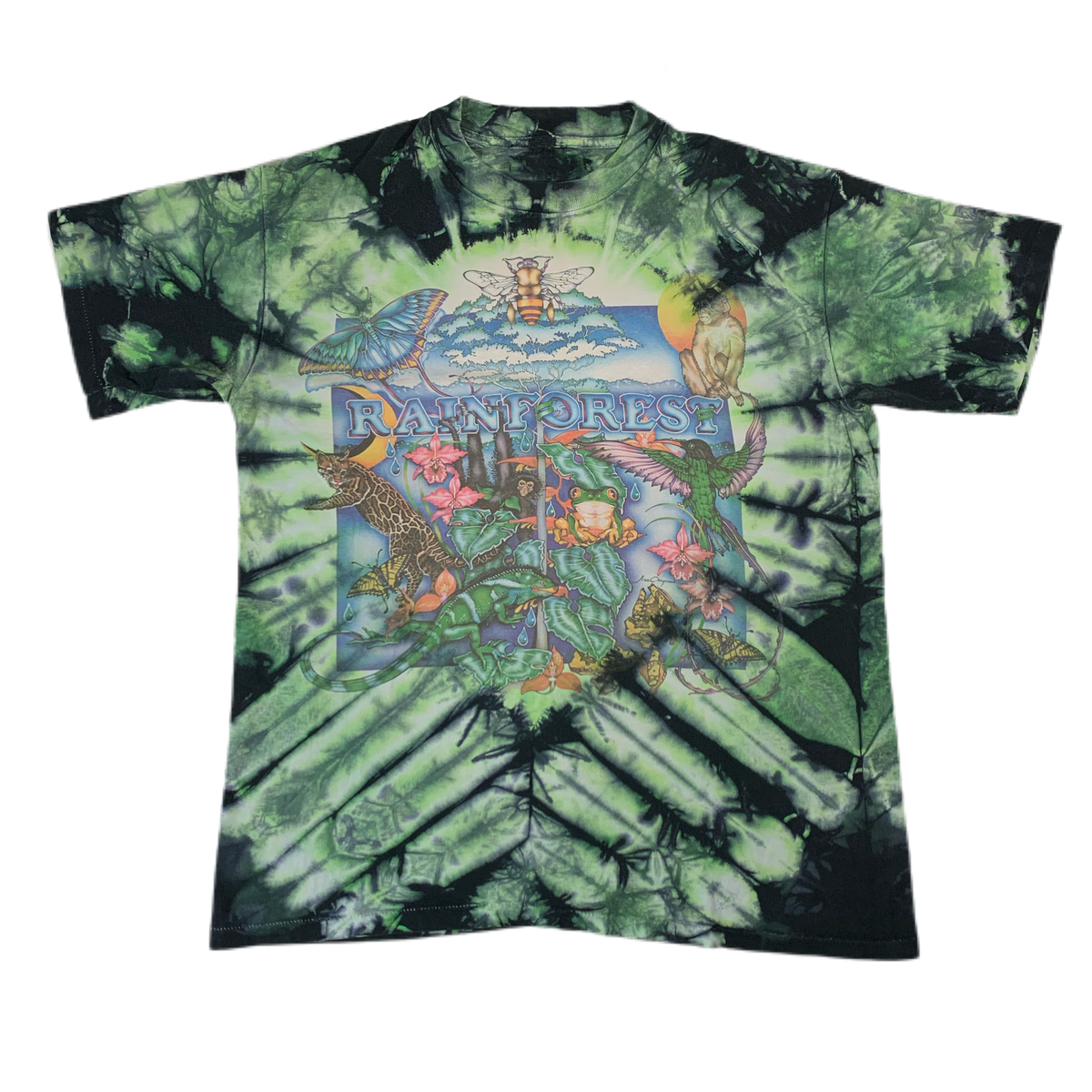 Vintage Lisa Chapman “Rainforest” T-Shirt - jointcustodydc