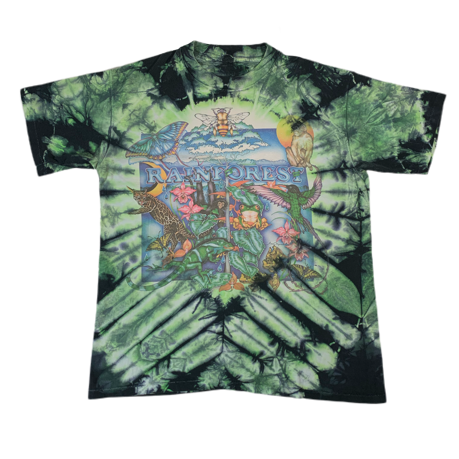 Vintage Lisa Chapman “Rainforest” T-Shirt - jointcustodydc