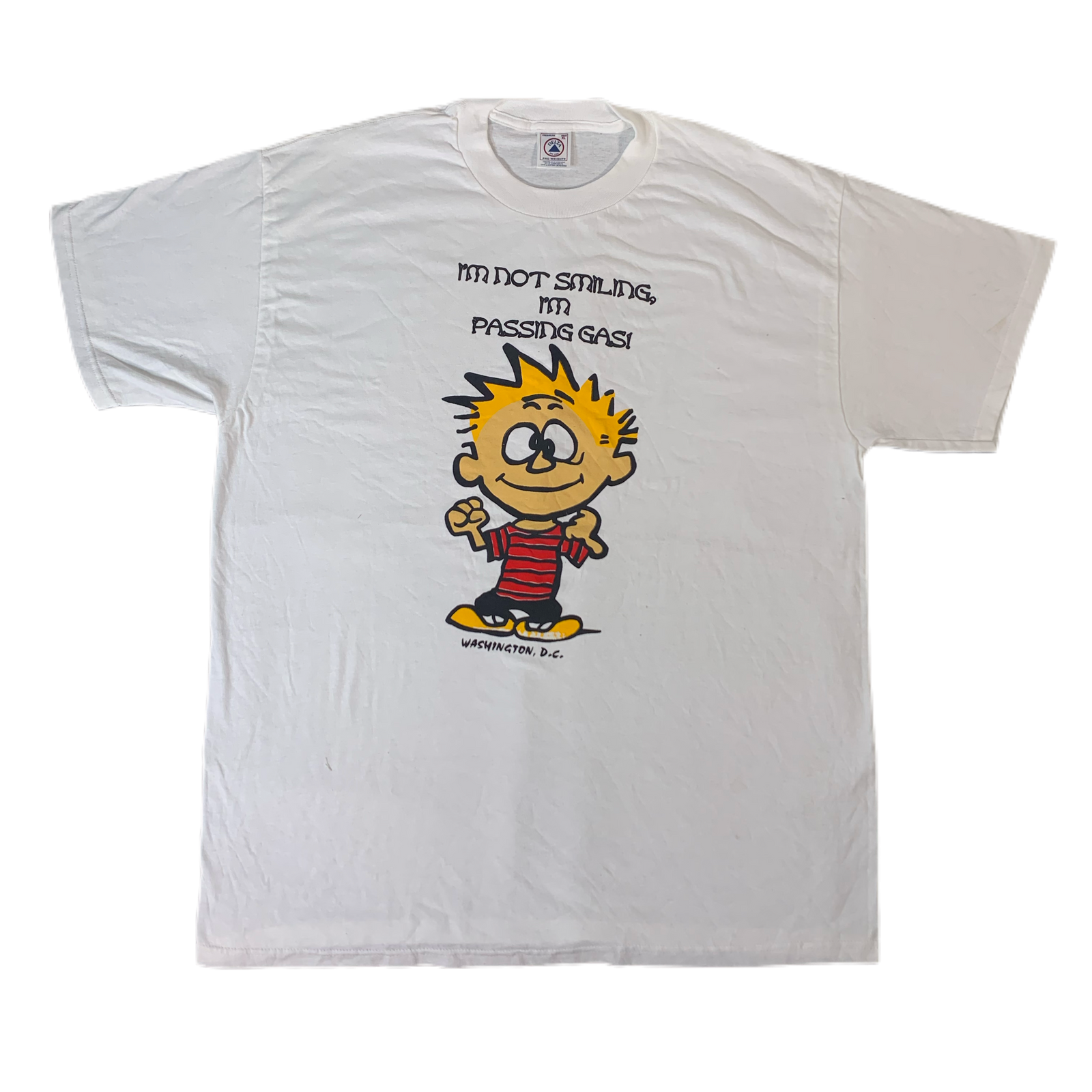 Vintage Calvin And Hobbes "DC" T-Shirt - jointcustodydc
