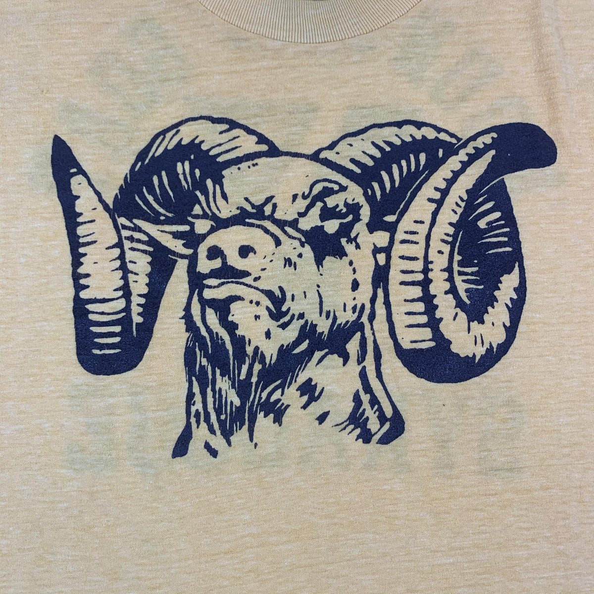 Vintage Syracuse “Mountain Goat” T-Shirt - jointcustodydc