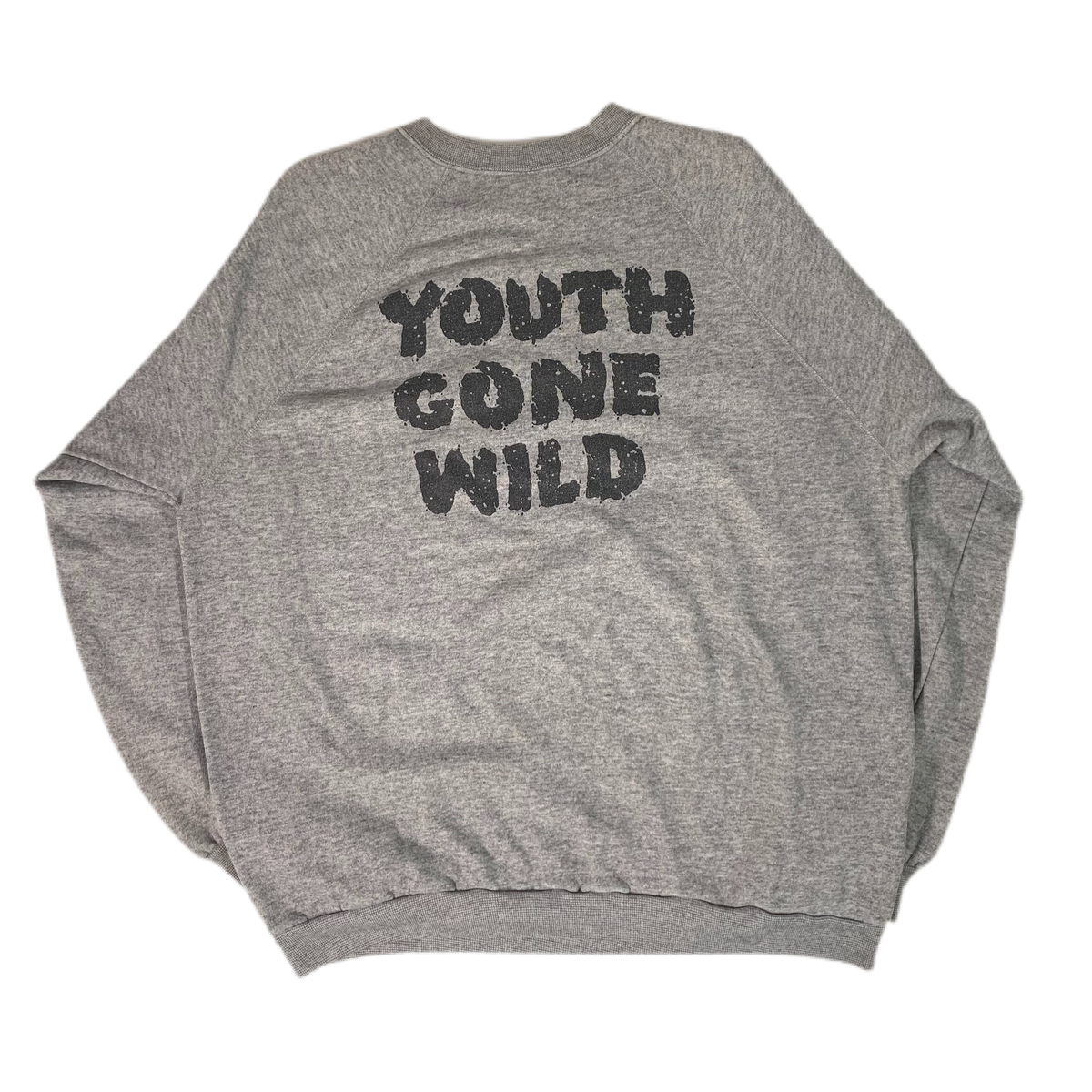 Vintage Skid Row &quot;Youth Gone Wild&quot; Crewneck Sweatshirt