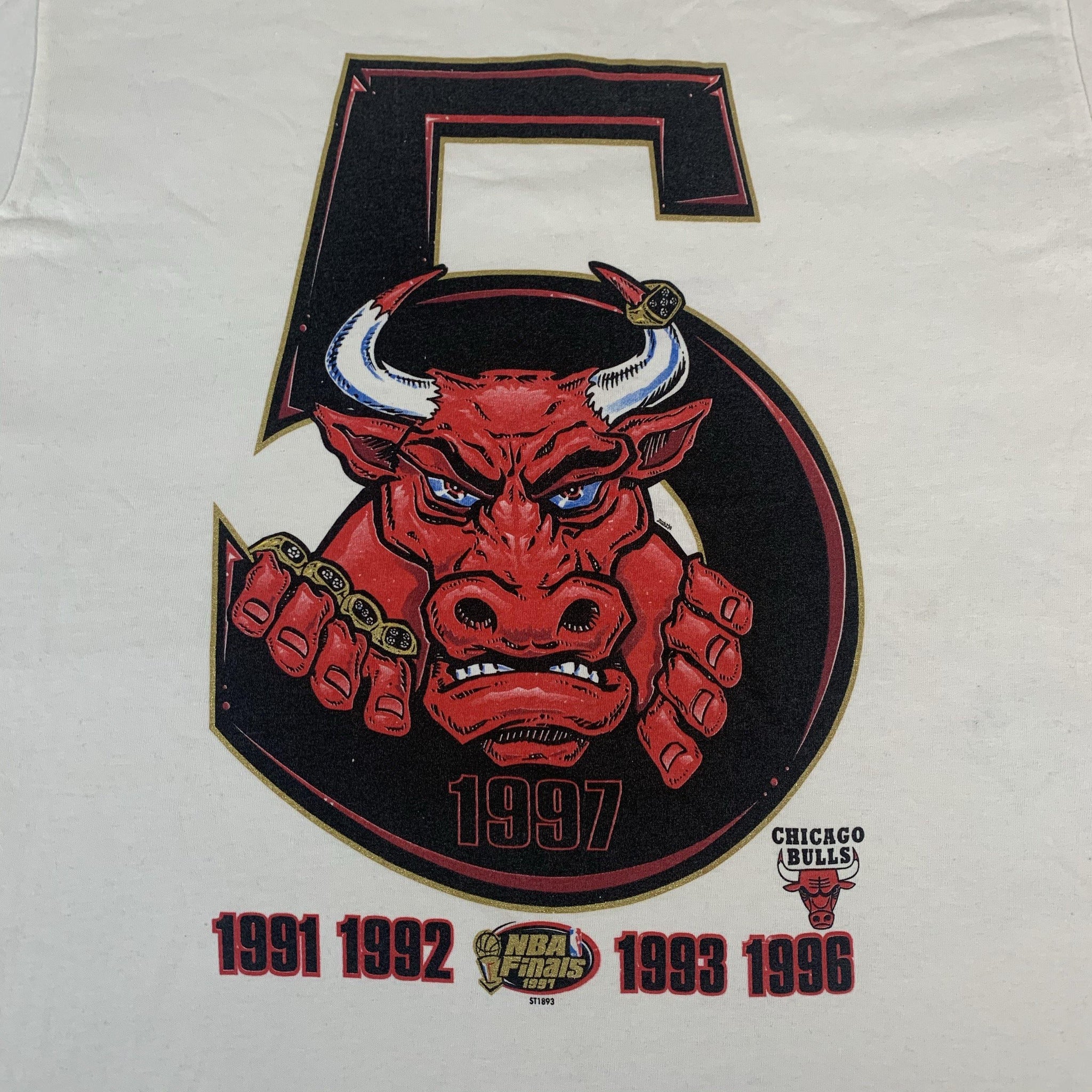 Vintage Chicago Bulls 