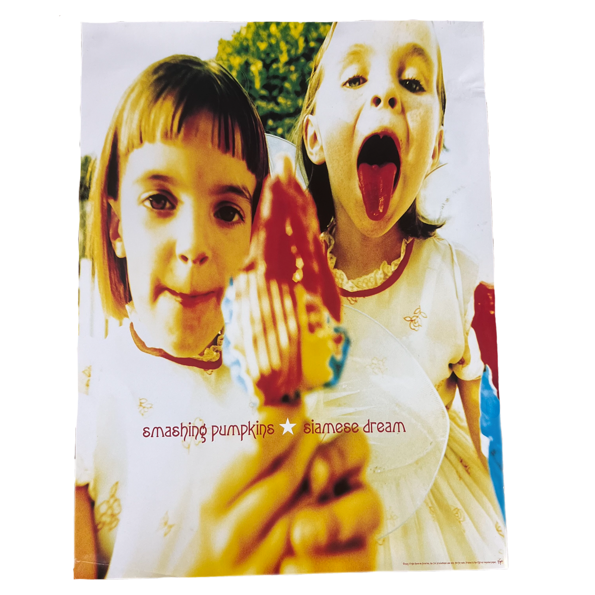 Vintage Smashing Pumpkins &quot;Siamese Dream&quot; Virgin Records USA Promotional Poster