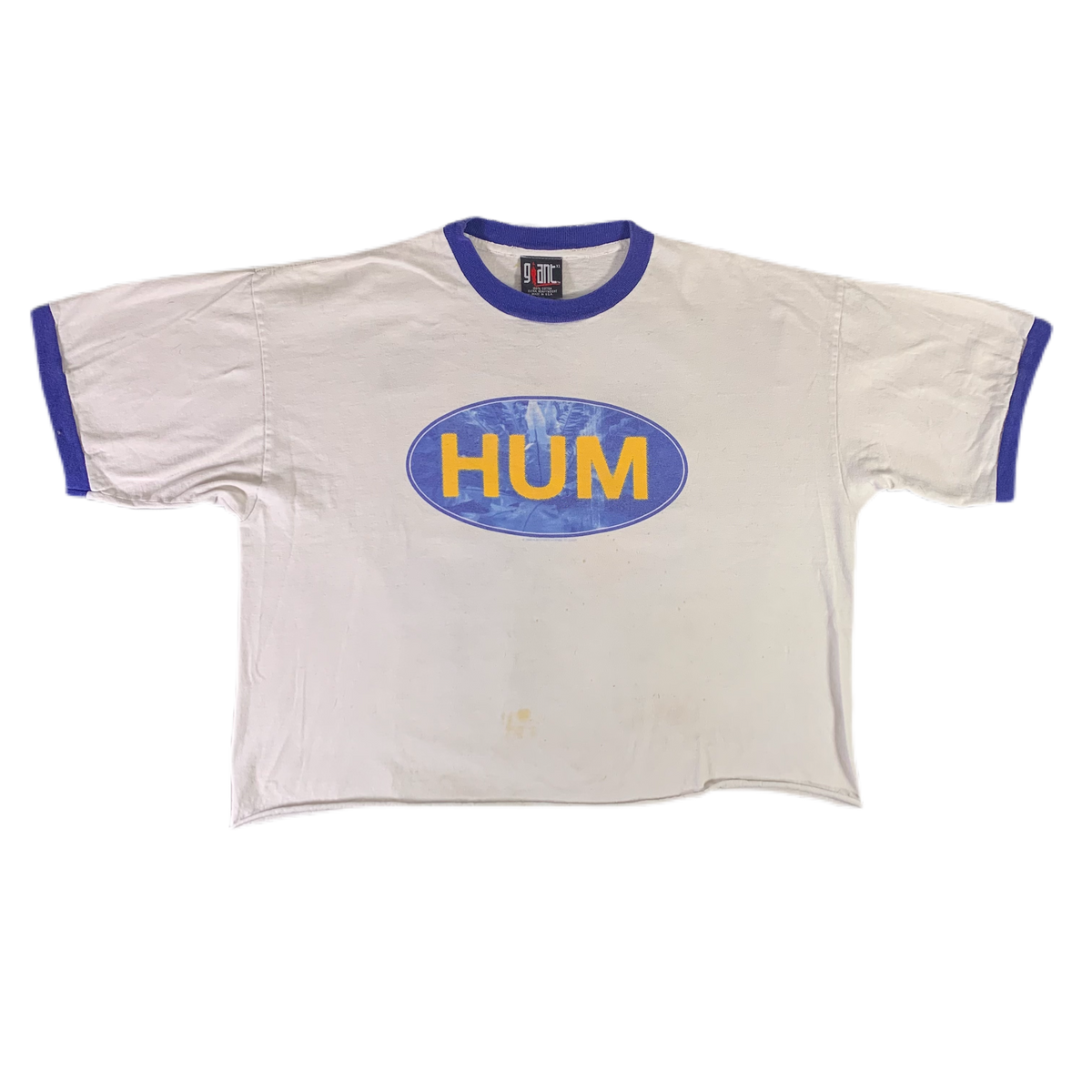 Vintage HUM &quot;Downward Is Heavenward&quot; Crop Cut Ringer Shirt