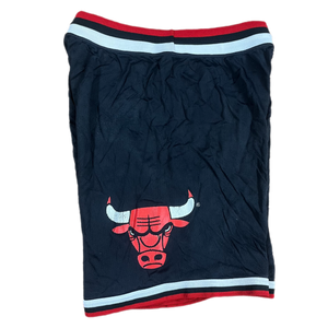 Vintage 90s Chicago Bulls Champion Red Basketball Shorts Size